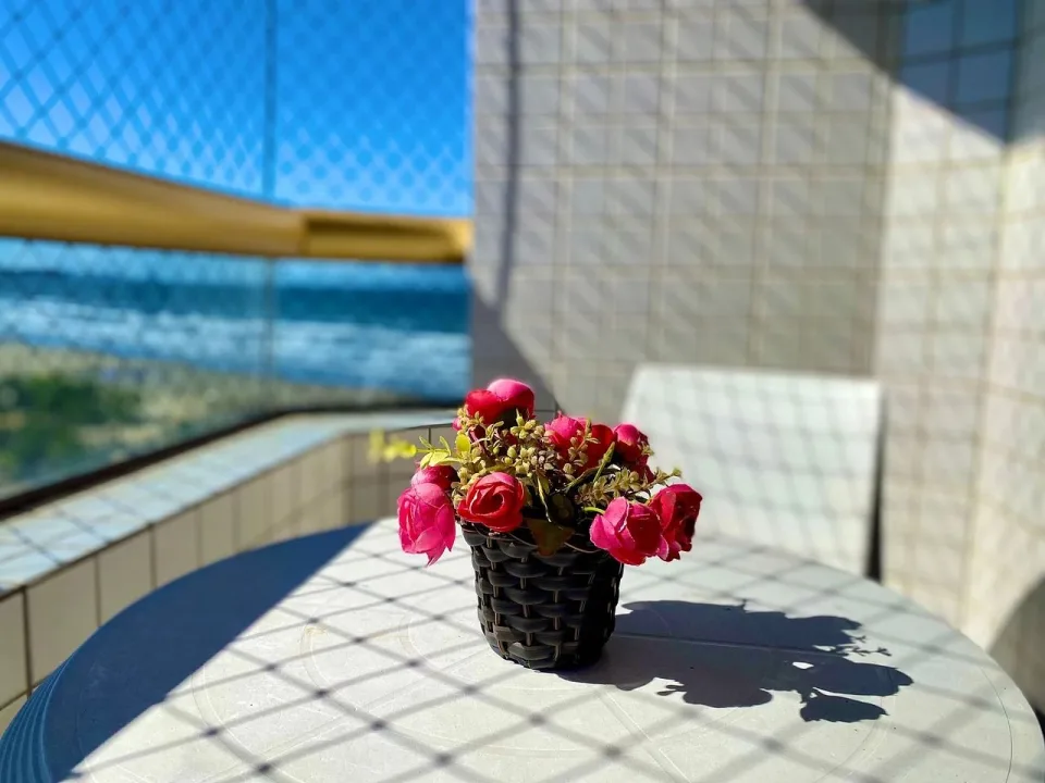 apartamento bairro mirim - foto 12