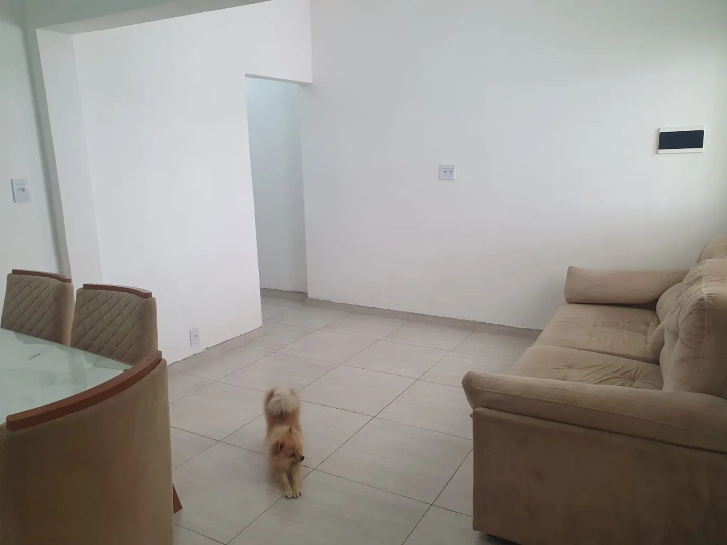 ótimo sobrado no bairro ocean - foto 3